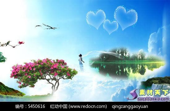 细胞分裂6