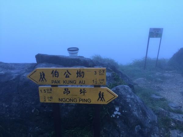 渣渣辉传奇