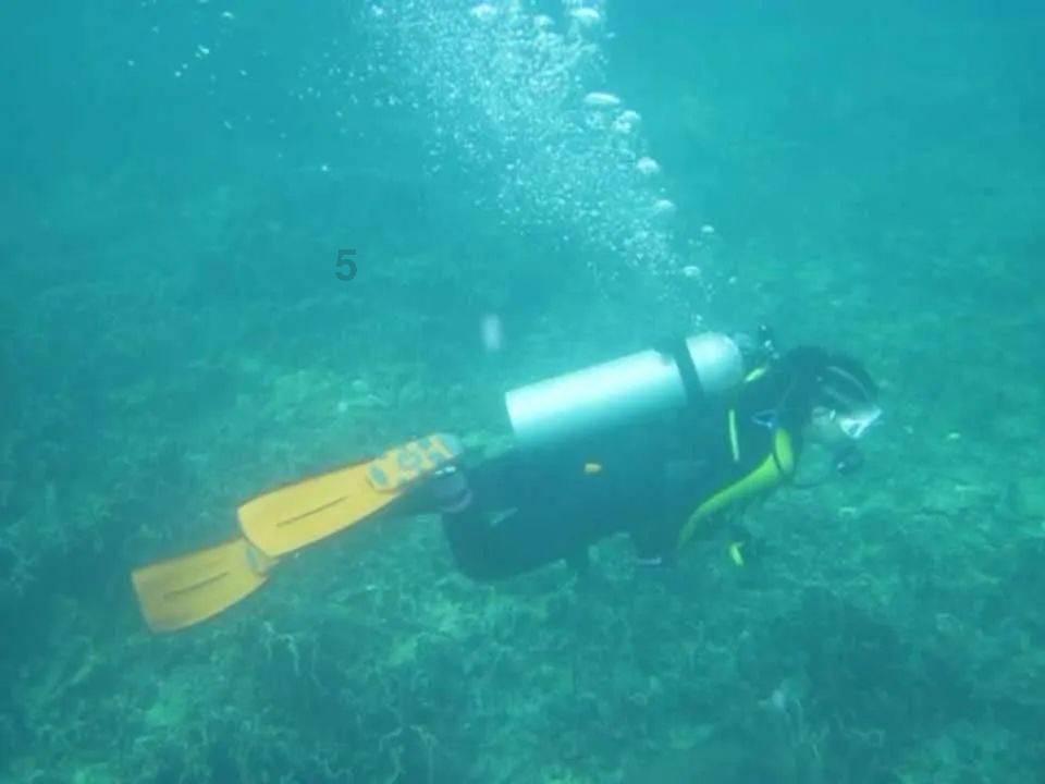 逃离童话城堡王