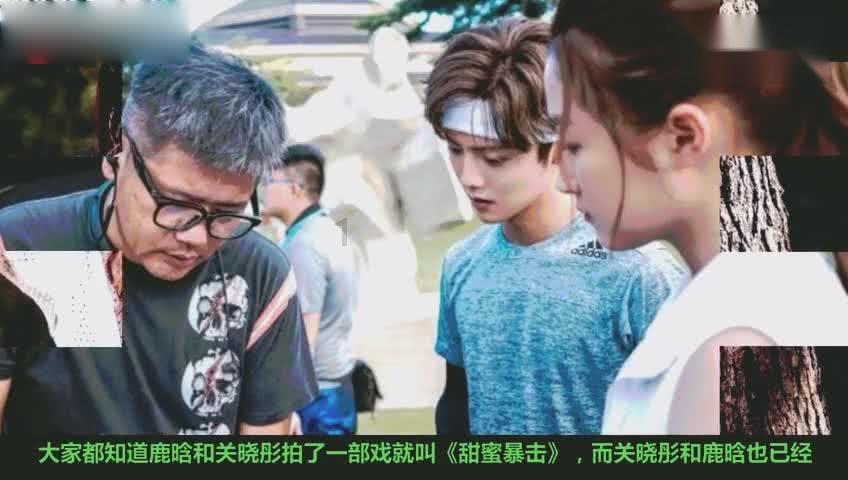 拯救卡通獾